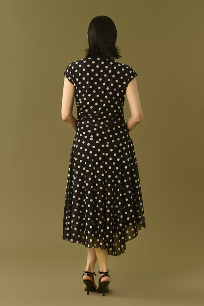 Amari Sheer Dress